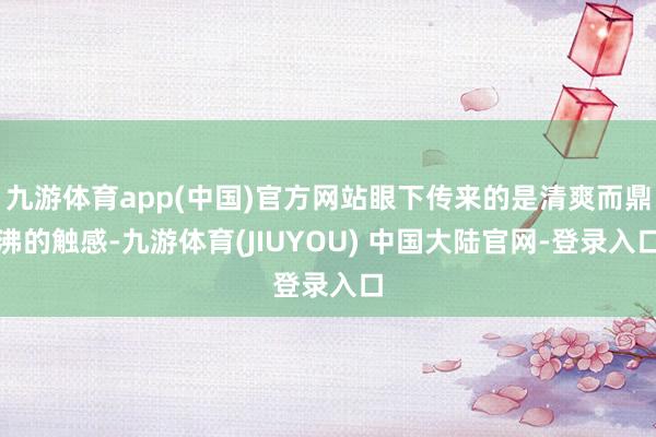 九游体育app(中国)官方网站眼下传来的是清爽而鼎沸的触感-九游体育(JIUYOU) 中国大陆官网-登录入口