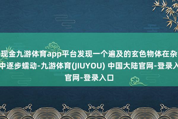现金九游体育app平台发现一个遍及的玄色物体在杂草中逐步蠕动-九游体育(JIUYOU) 中国大陆官网-登录入口