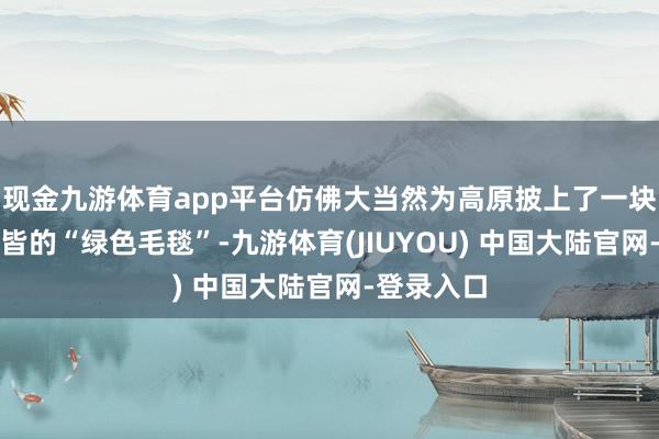 现金九游体育app平台仿佛大当然为高原披上了一块自尊感全皆的“绿色毛毯”-九游体育(JIUYOU) 中国大陆官网-登录入口